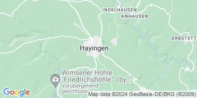 Hayingen