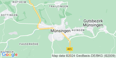 Münsingen